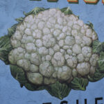 Unique mural featuring white cauliflower