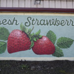 Unique mural for fresh strawberries from our custom sign makers