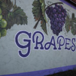 Custom painted mural of purple and green grapes