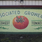 Custom painted mural for Associated Growers